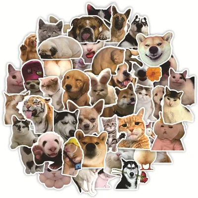 Наклейки на банковскую карту Какающие собаки-2 Стикеры мемы - купить с  доставкой по выгодным ценам в интернет-магазине OZON (1028537708)