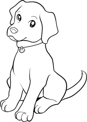 Разноцветная собака рисунок поп-арт» — создано в Шедевруме