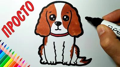 Раскраски рисунок, Раскраска Рисунок собаки домашние животные.