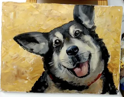 Собака рисунок детский простой (46 фото) » рисунки для срисовки на  Газ-квас.ком