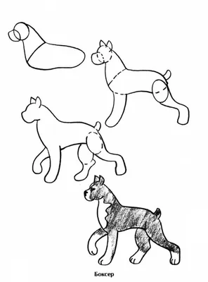 Собака мультфильм рисунок, рисунки собаки, белый, домашнее животное, собака  png | PNGWing