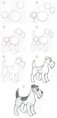Как нарисовать собаку: 8 шагов» — создано в Шедевруме
