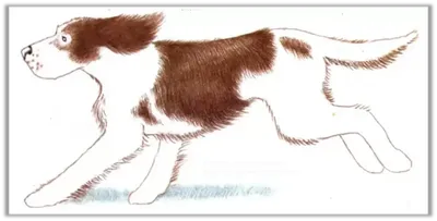 Собака рисунок карандашом поэтапно - 54 фото