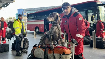 Как собаки-спасатели помогали искать людей в Турции, рассказали в МЧС -  26.02.2023, Sputnik Беларусь