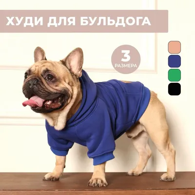 Одежда для французского быка, одежда для собаки, одежда для собаки,  спортивные толстовки для собаки, одежда для собаки | AliExpress