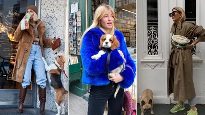 В чем знаменитости и блогеры выходят на прогулку с собакой | Glamour