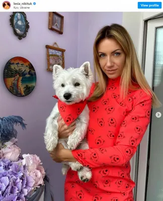 Болонка, чихуахуа и белый терьер: Какие породы собак выбирают украинские  звезды