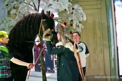 Ксения Собчак расцеловала лошадь - Россия | Обозреватель