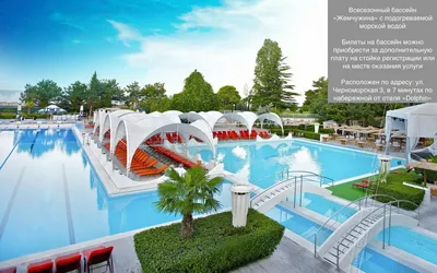 Отель Дельфин в Сочи | Dolphin Resort 3*цены на проживание