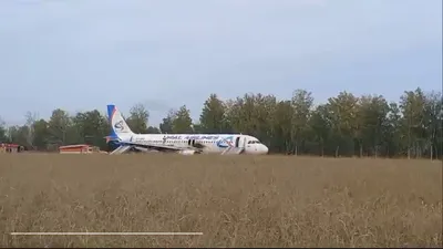 Самолет Сочи — Омск экстренно сел в поле Новосибирской области