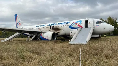 Пилоты – об экстренной посадке самолёта Сочи-Омск:«Это говорит о  профессионализме экипажа»