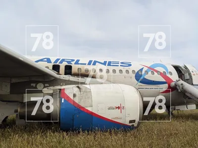 Пассажирский самолет Сочи – Омск совершил аварийную посадку в Новосибирской  области