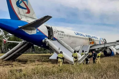 Подававший сигнал бедствия самолет Сочи-Омск сел в поле под Новосибирском -  Российская газета