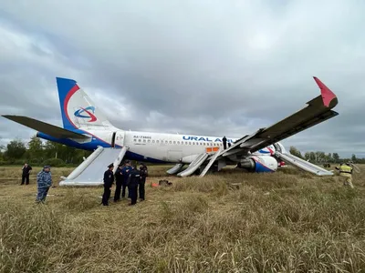 Самолет «Сочи–Омск» сел на пшеничное поле в Новосибирской области. Как это  было | Правмир