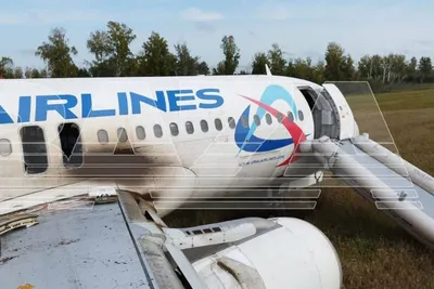 Подавший сигнал тревоги самолет рейсом Сочи — Омск сел на грунт - Газета.Ru  | Новости