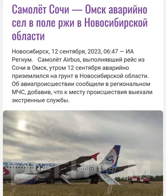 Стала известна причина, почему самолёт из Сочи не посадили в Омске |  ПРОИСШЕСТВИЯ | АиФ Омск