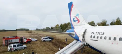 Самолет рейса Москва-Сочи прервал взлет из-за срабатывания тревожного табло  в кабине пилотов - Новости Сочи Sochinews.io