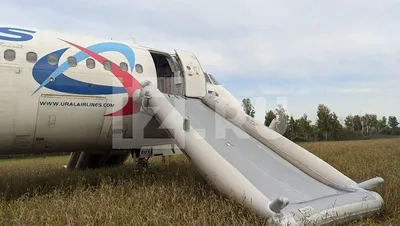 Самолёт рейса Сочи – Омск экстренно приземлился в Новосибирской области