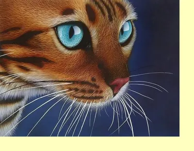 Моя котейка на стиле / бенгальский кот :: котэ (прикольные картинки с  кошками) / смешные картинки и другие приколы: комиксы, гиф анимация, видео,  лучший интеллектуальный юмор.