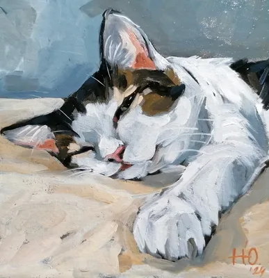Сонный кот. | Жизнь кота Котофея. | Дзен