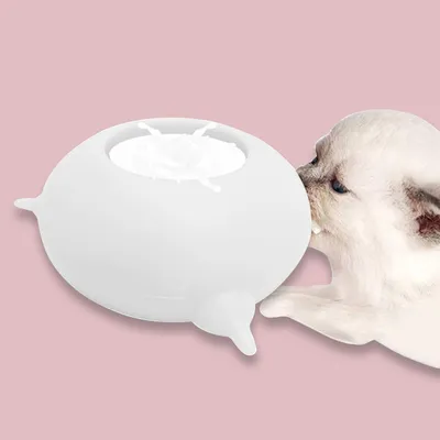 Соска для кормления для домашних животных, 4 соска молочная чаша для  питомцев, котят ля кормления щенков, 150 мл - купить с доставкой по  выгодным ценам в интернет-магазине OZON (417707706)