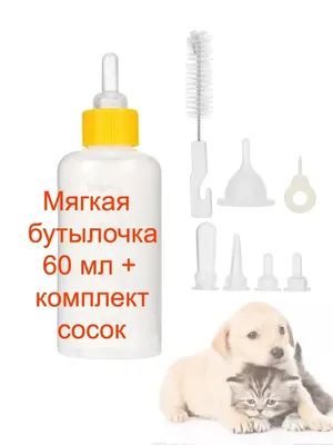 Набор для вскармливания щенков и котят (бутылка 50 мл, соска и ершик) микс  599527