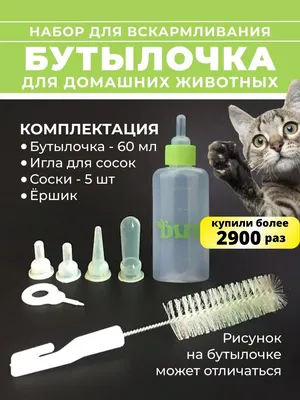 Набор для вскармливания щенков и котят (бутылка 60 мл, соска и ершик)  купить, отзывы, фото, доставка - Совместные покупки в Калининграде и области