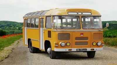 Вот почему советские автобусы красили в жёлтый цвет | За семью печатями |  Дзен