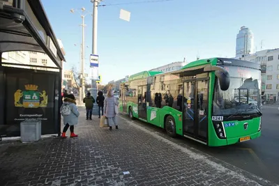На петербургские маршруты выйдут современные автобусы | Blog Fiesta