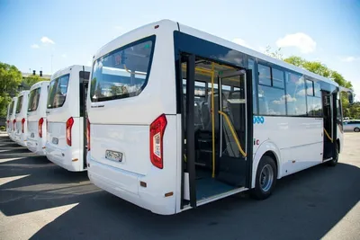 Как устроен МАЗ-303, самый современный белорусский автобус | WROOM | Дзен