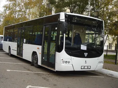 В Бохтаре впервые запустили современные автобусы | Новости Таджикистана  ASIA-Plus