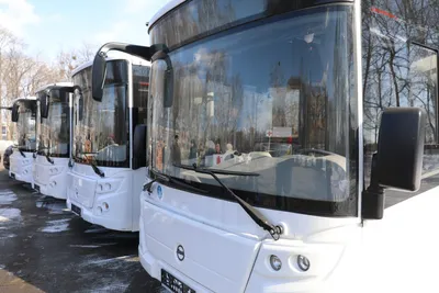 В Кузбасс поступили новые современные автобусы