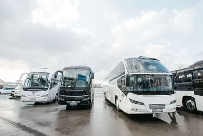 Пять новых современных автобусов выйдут на маршруты в Биробиджане -  EAOMedia.ru