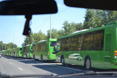 С кондиционером и без ступеней: столица Бурятии получила современные  автобусы «Волгабас» Автомобильный портал 5 Колесо