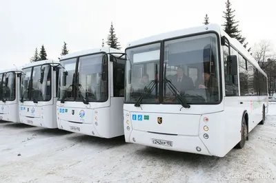 Новые автобусы в Астрахани: испытано на себе | АРБУЗ