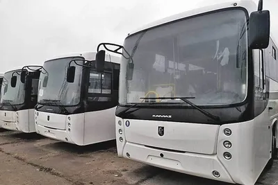 Белорусский МАЗ сделал новый туристический автобус — вот первые фото и  подробности