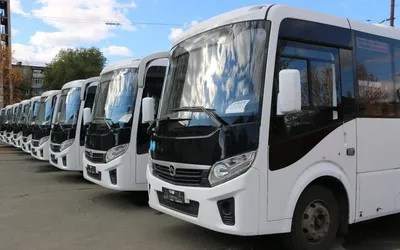 В Тюмени новые современные автобусы обслуживают популярные маршруты |  Вслух.ru