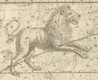 О зодиакальных созвездиях [Лев] | Пикабу