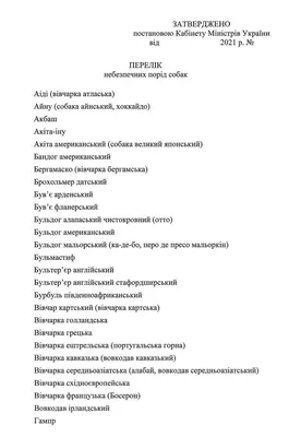 В МВД назвали опасные породы собак (полный список)