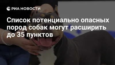 В России утвердили список потенциально опасных пород собак