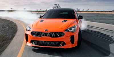 Спорткупе Kia GT4 Stinger — Сообщество «Спортивные и Гоночные Автомобили»  на DRIVE2