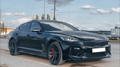 Внесистемный элемент. Тест-драйв обновленного Kia Stinger :: Autonews