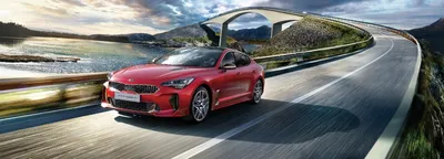 Аренда авто Kia Stinger в Санкт-Петербурге. Прокат.