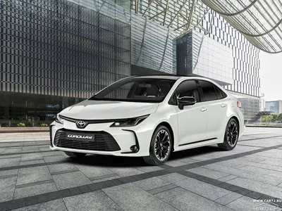 Новая Toyota Supra открывает эпоху спортивных моделей серии GR в России -  Новости - О компании - Тойота Центр Самара Юг