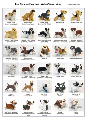 Пушистые собаки: большие, средние и маленькие породы с фото