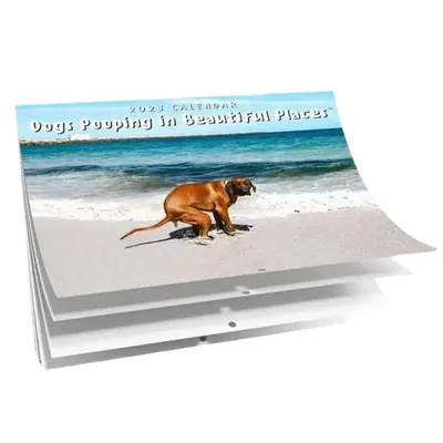 Срущая собака: истории из жизни, советы, новости, юмор и картинки — Все  посты, страница 51 | Пикабу