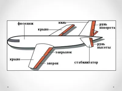 ОПЕРЕНИЕ • Большая российская энциклопедия - электронная версия