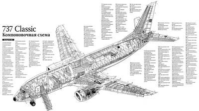 Стабилизатор для радиоуправляемого самолёта HobbyZone AeroScout - HBZ3804 -  HBZ3804 | запчасти и тюнинг с доставкой от интернет-магазина RC-TODAY.RU