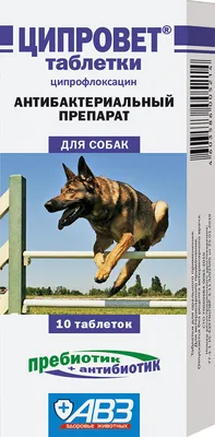 Купить ЗооХелс ЦИПРОЛАК антибиотик широкого спектра действия для собак и  кошек в Киеве и по всей Украине - цена, отзывы в зоомагазине Зоодом Бегемот