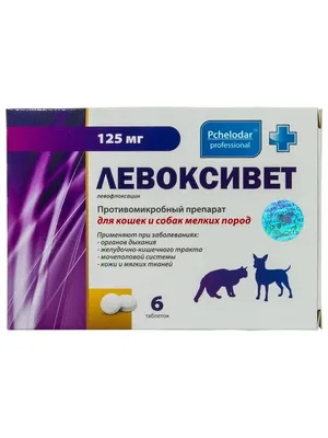 Стафилококк у собак лечение (78 фото) - картинки sobakovod.club
